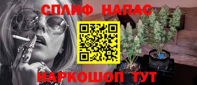 крисы Татарск