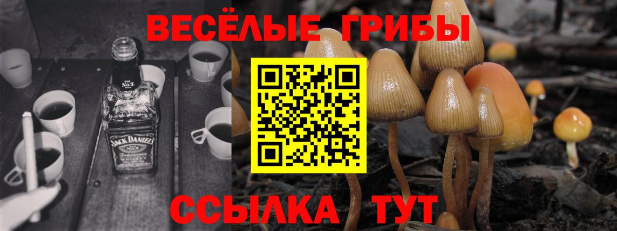 Галлюциногенные грибы мицелий Нижневартовск